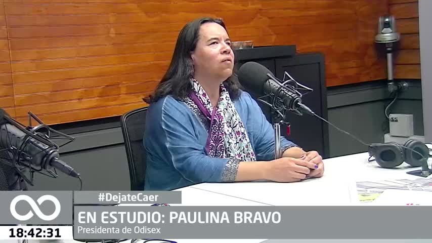 Paulina Bravo, presidenta de Odisex Chile